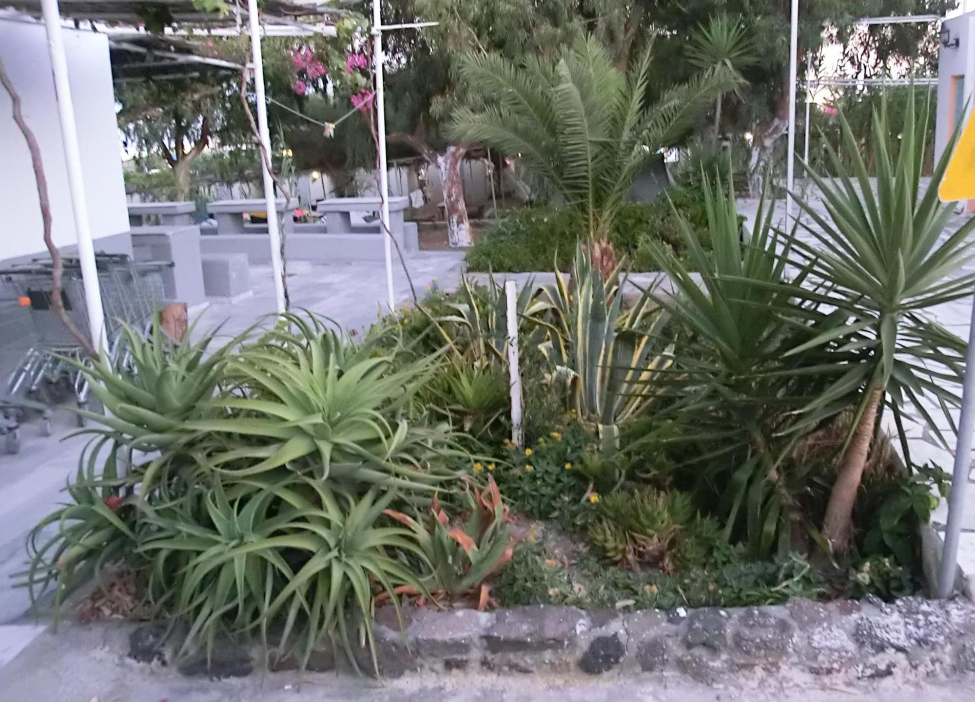 Santorini Camping & Hostel Fira  Eksteriør billede